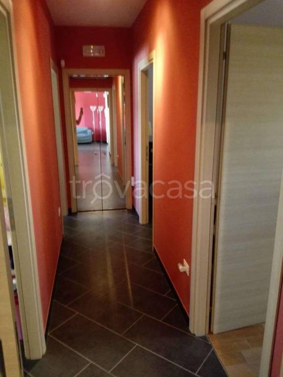 immagine annuncio 0 di 15