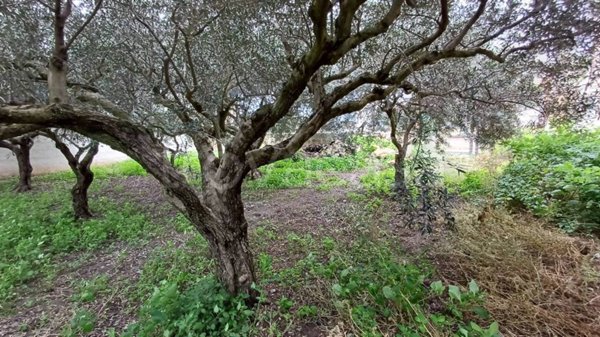 casa indipendente in vendita a Marsala