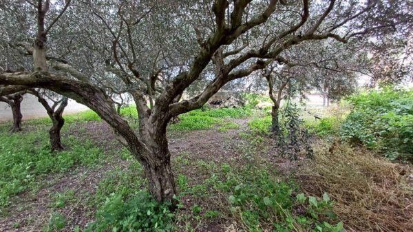 casa indipendente in vendita a Marsala