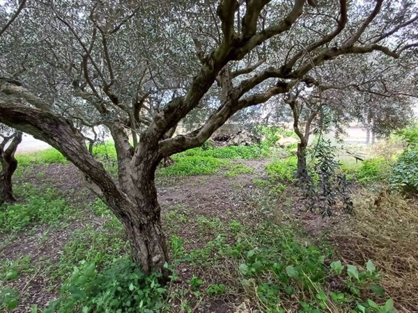 casa indipendente in vendita a Marsala