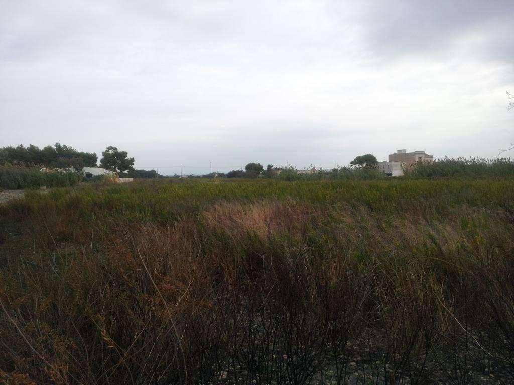 terreno agricolo in vendita a Marsala