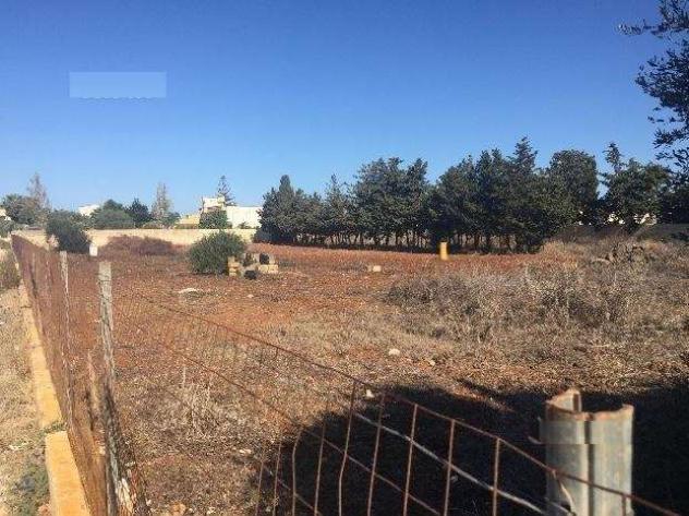 terreno agricolo in vendita a Marsala