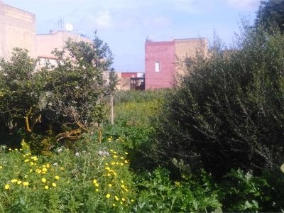 terreno edificabile in vendita a Marsala