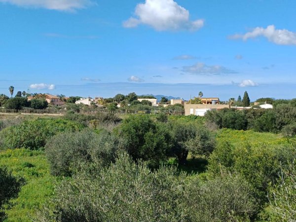 terreno agricolo in vendita a Marsala in zona Santa Venera