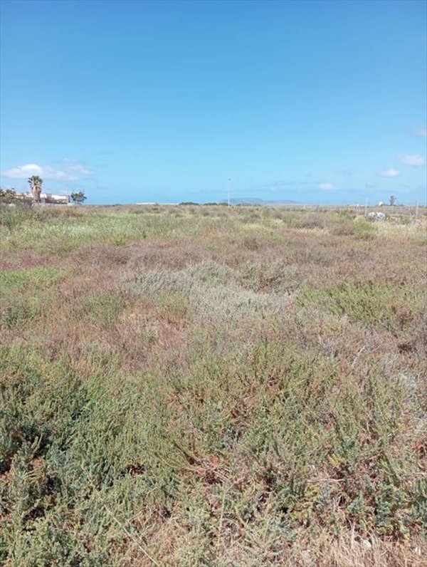 terreno agricolo in vendita a Marsala