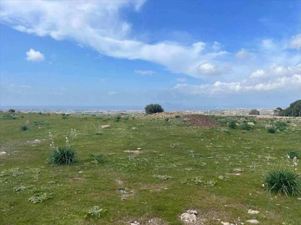 terreno agricolo in vendita a Marsala