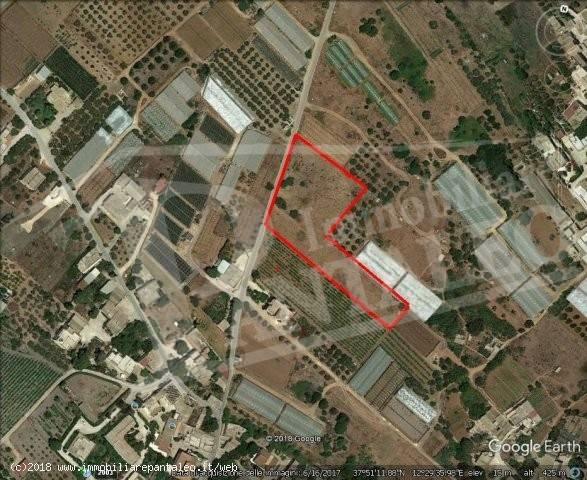 terreno agricolo in vendita a Marsala