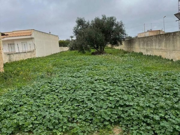 terreno agricolo in vendita a Marsala