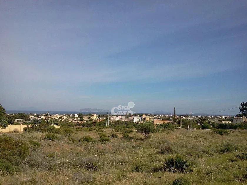 terreno agricolo in vendita a Marsala