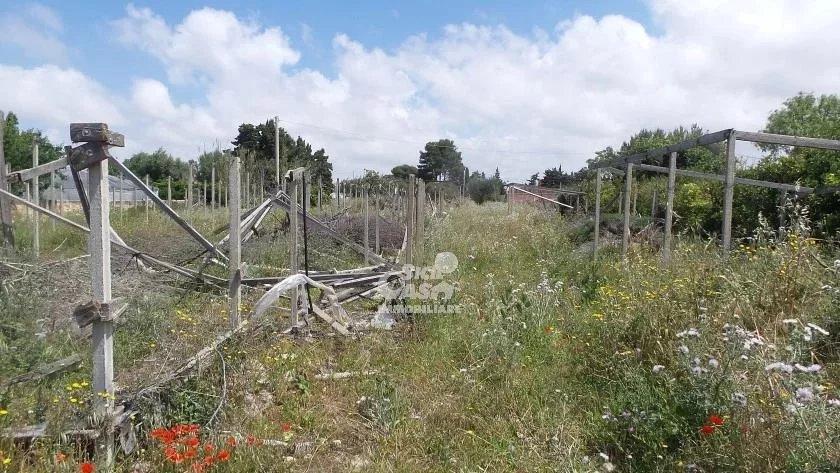 terreno agricolo in vendita a Marsala