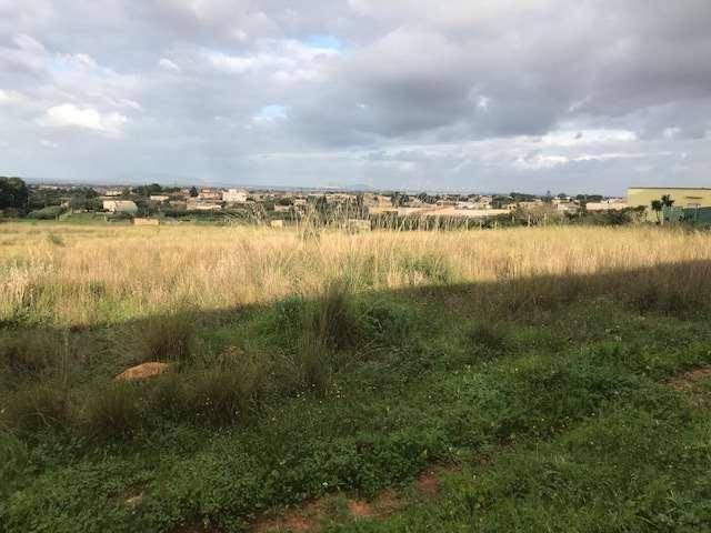 terreno agricolo in vendita a Marsala