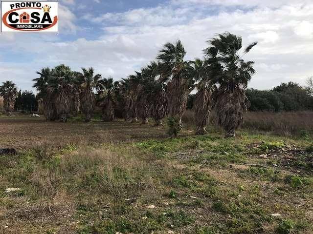 terreno agricolo in vendita a Marsala