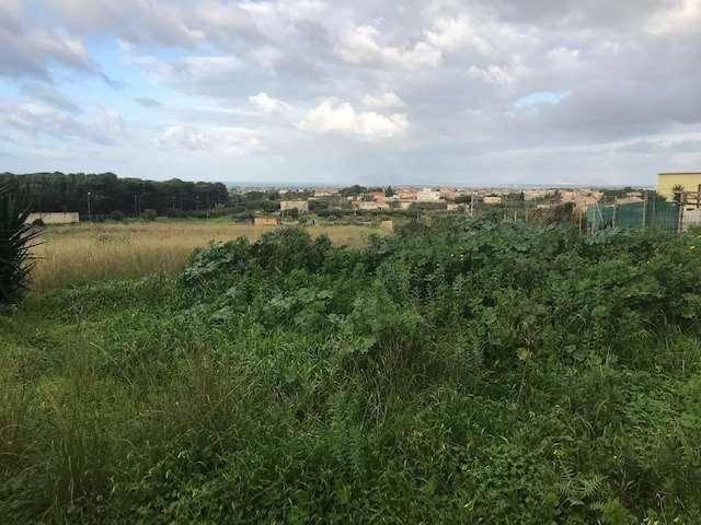 terreno agricolo in vendita a Marsala