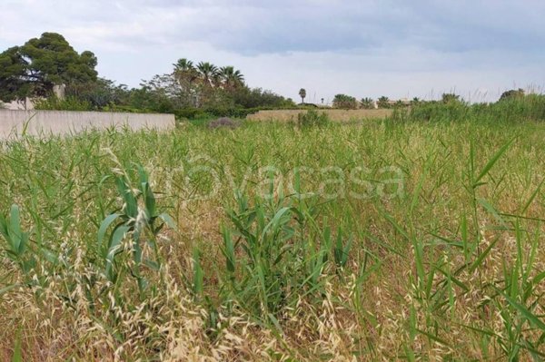terreno agricolo in vendita a Marsala