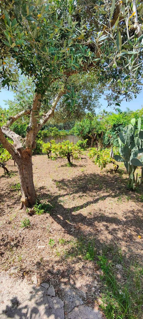 casa indipendente in vendita a Marsala