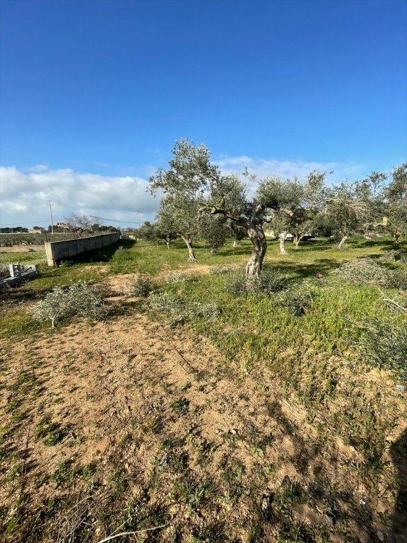 terreno agricolo in vendita a Marsala