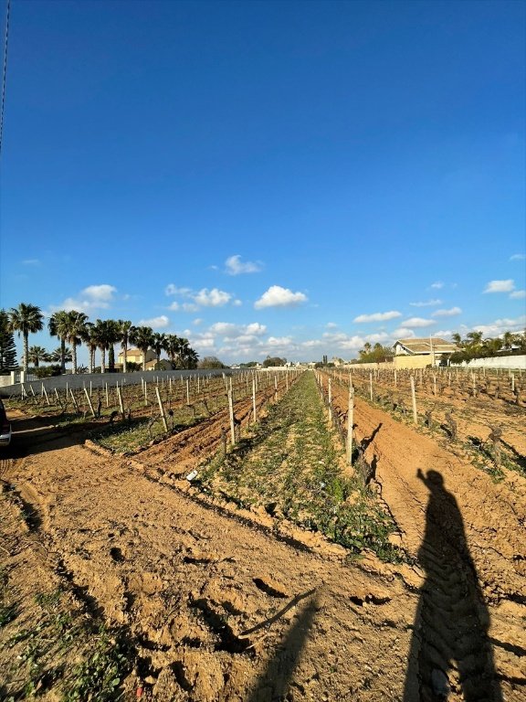 terreno agricolo in vendita a Marsala in zona Centro Storico