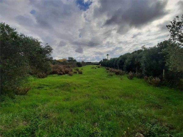 terreno agricolo in vendita a Marsala