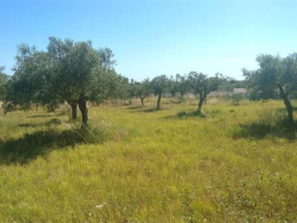 terreno agricolo in vendita a Marsala in zona Terrenove