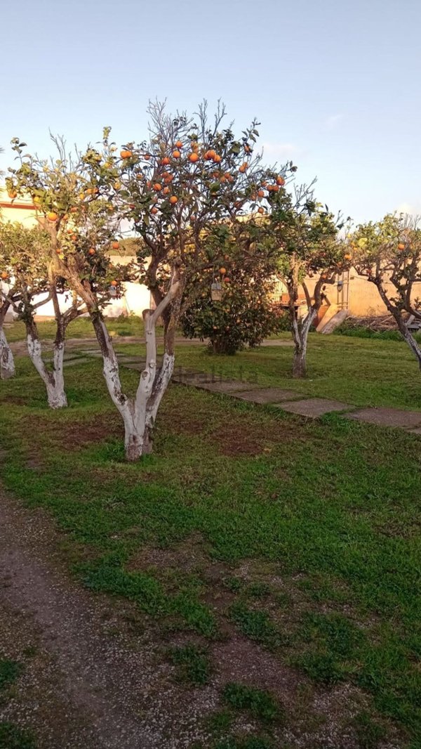 casa indipendente in vendita a Marsala