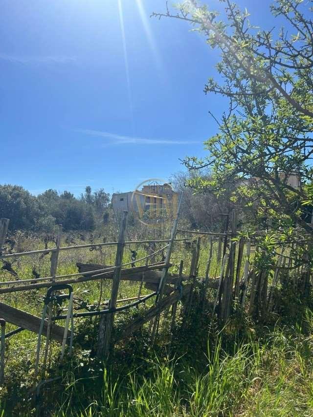casa indipendente in vendita a Marsala