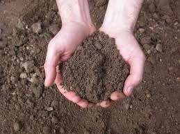 terreno agricolo in vendita a Marsala