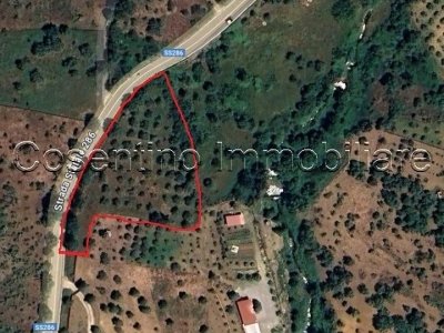 terreno agricolo in vendita a Marsala