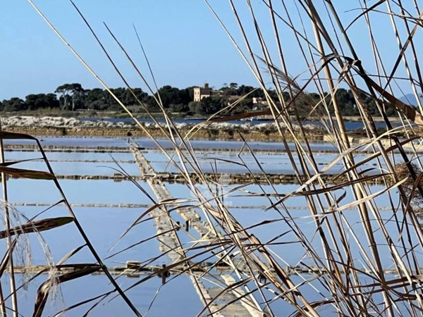 terreno agricolo in vendita a Marsala