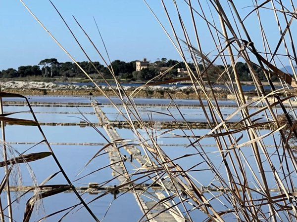 terreno agricolo in vendita a Marsala