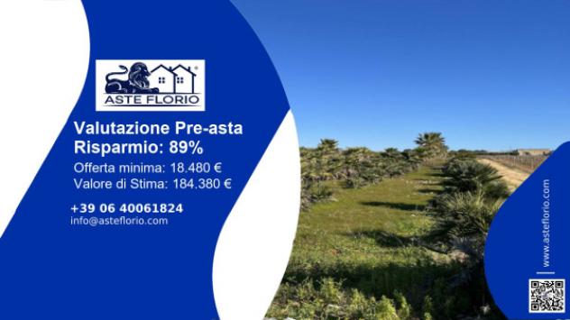 terreno agricolo in vendita a Marsala