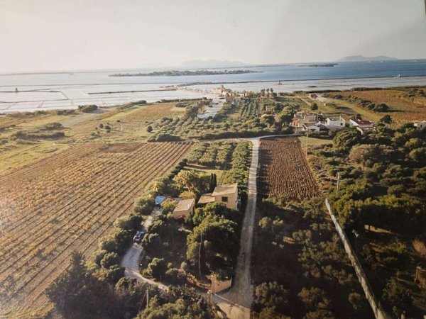 terreno agricolo in vendita a Marsala