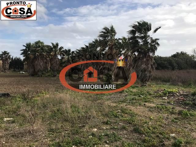 terreno agricolo in vendita a Marsala