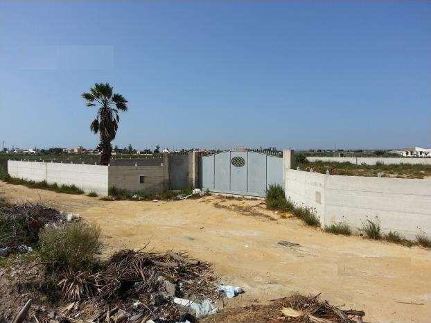 terreno agricolo in vendita a Marsala