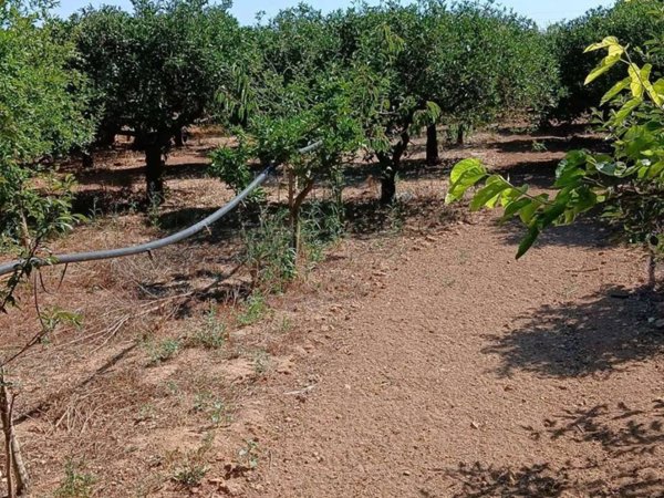 locale commerciale in vendita a Marsala in zona Strasatti