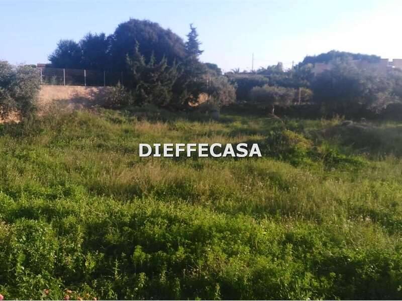 terreno agricolo in vendita a Marsala