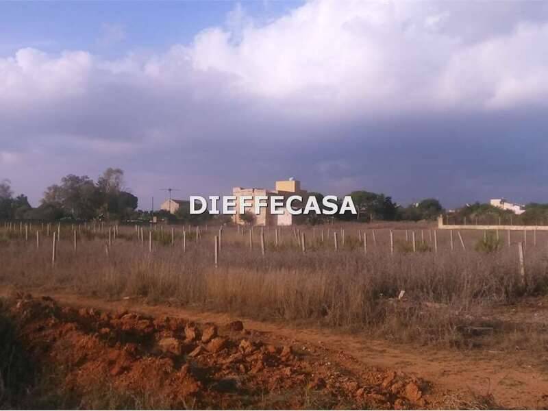 terreno agricolo in vendita a Marsala