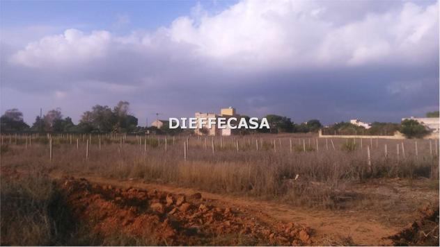terreno agricolo in vendita a Marsala