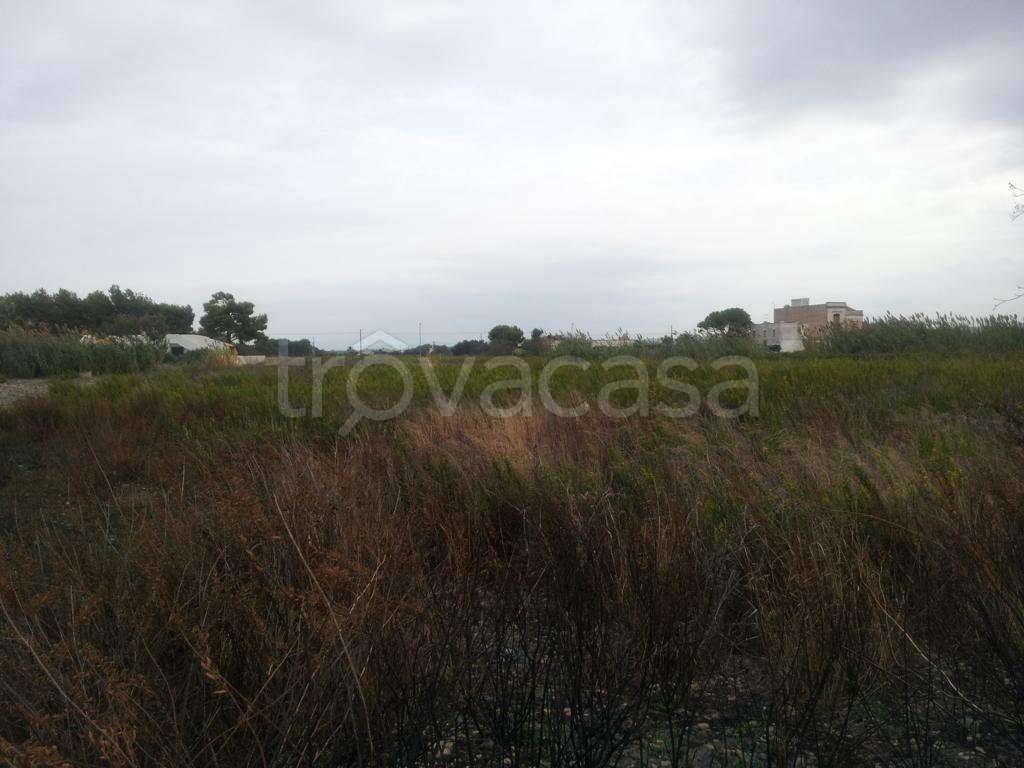 terreno agricolo in vendita a Marsala