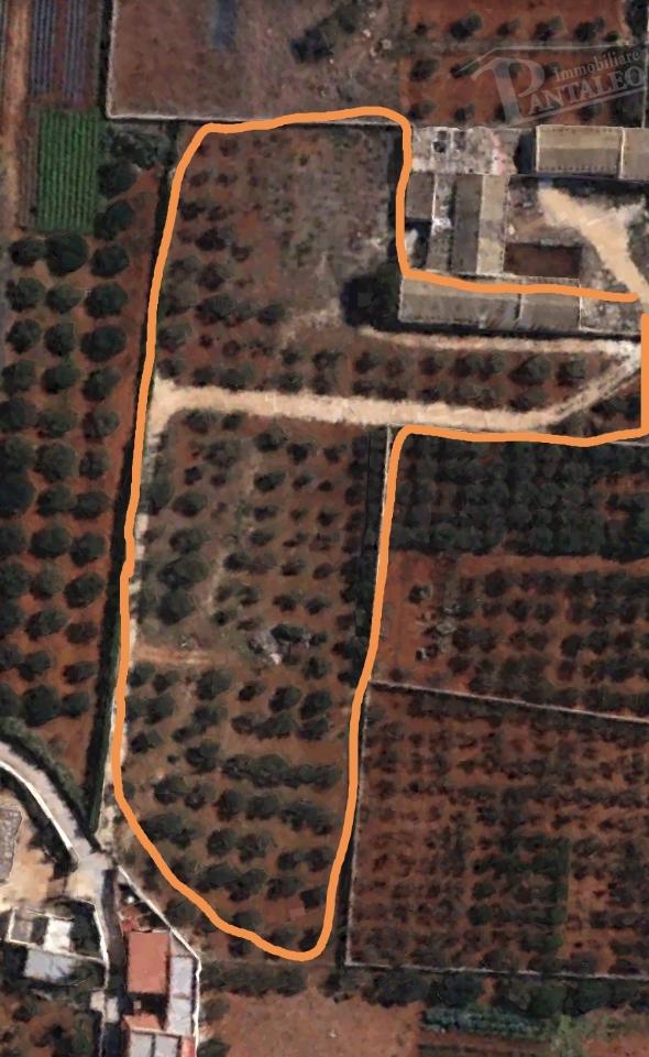 terreno agricolo in vendita a Marsala