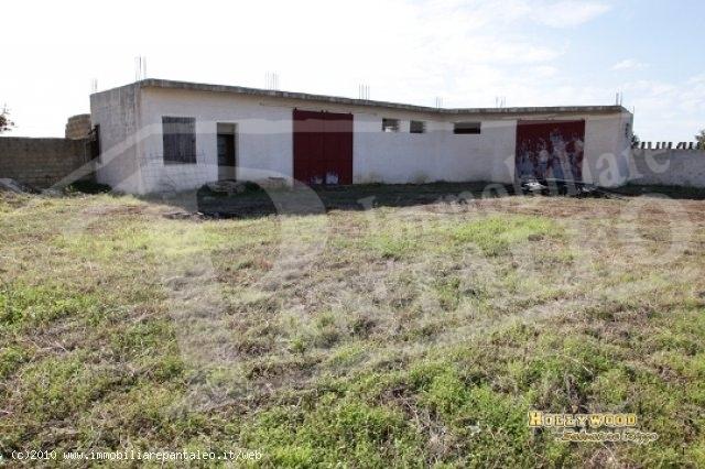 terreno agricolo in vendita a Marsala