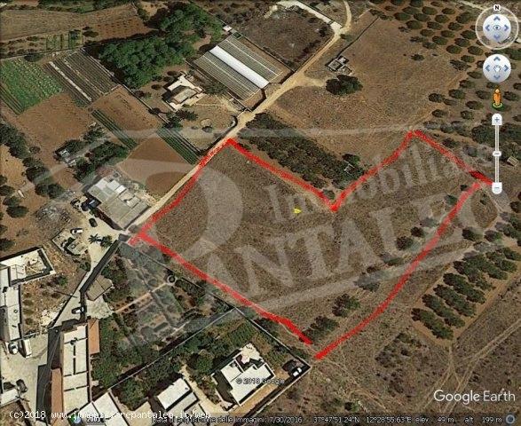 terreno agricolo in vendita a Marsala