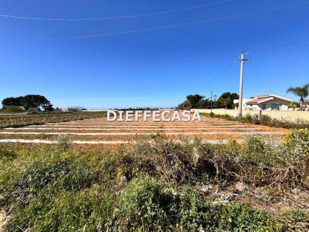 terreno agricolo in vendita a Marsala