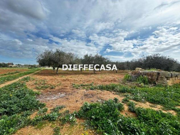 terreno agricolo in vendita a Marsala