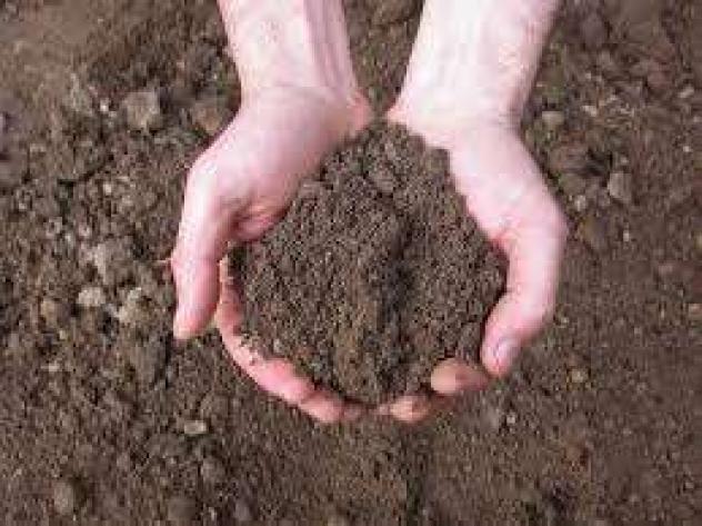 terreno agricolo in vendita a Marsala