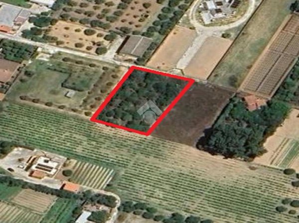 terreno agricolo in vendita a Marsala