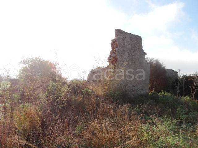 terreno agricolo in vendita a Marsala
