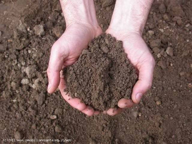 terreno agricolo in vendita a Marsala