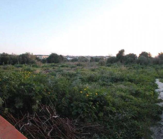 terreno agricolo in vendita a Marsala