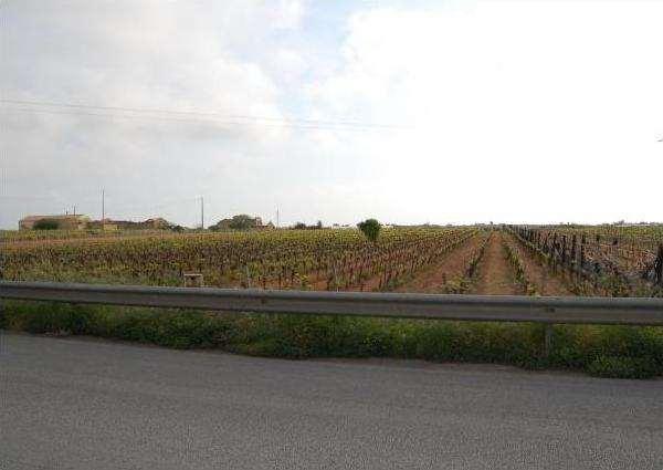 terreno agricolo in vendita a Marsala