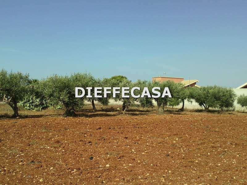 terreno agricolo in vendita a Marsala